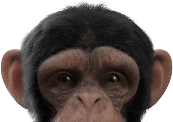 mascot head