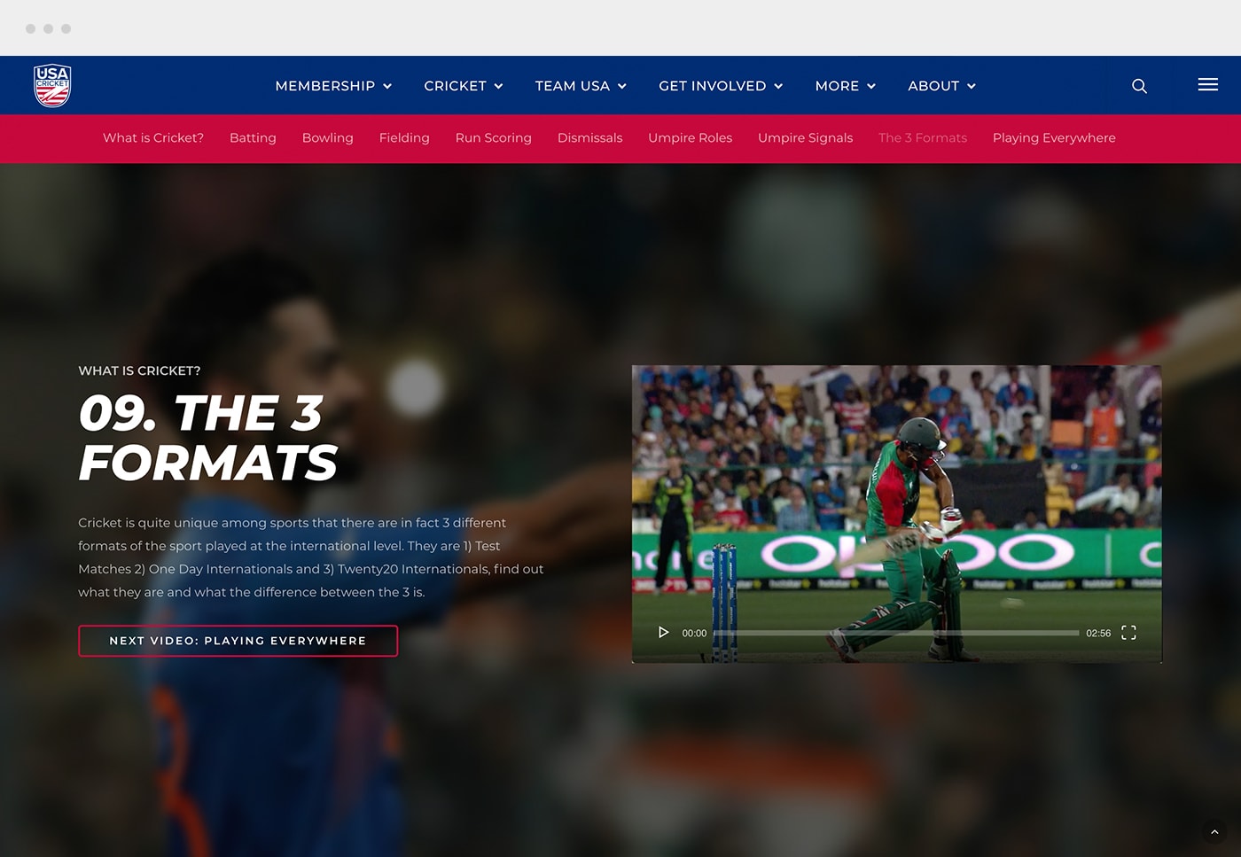 download-7 usa cricket playing formats
