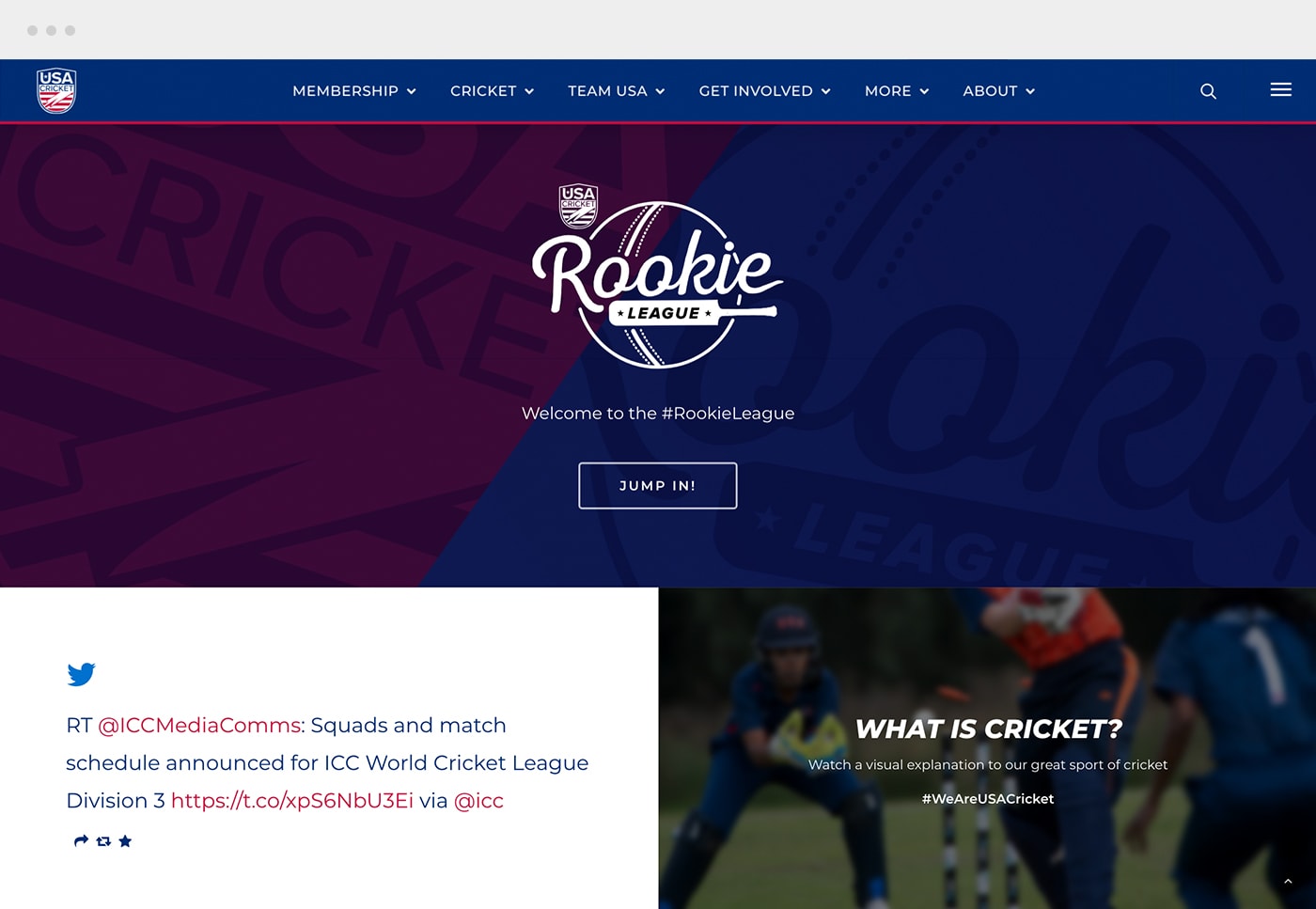 usa cricket rookie league page preview