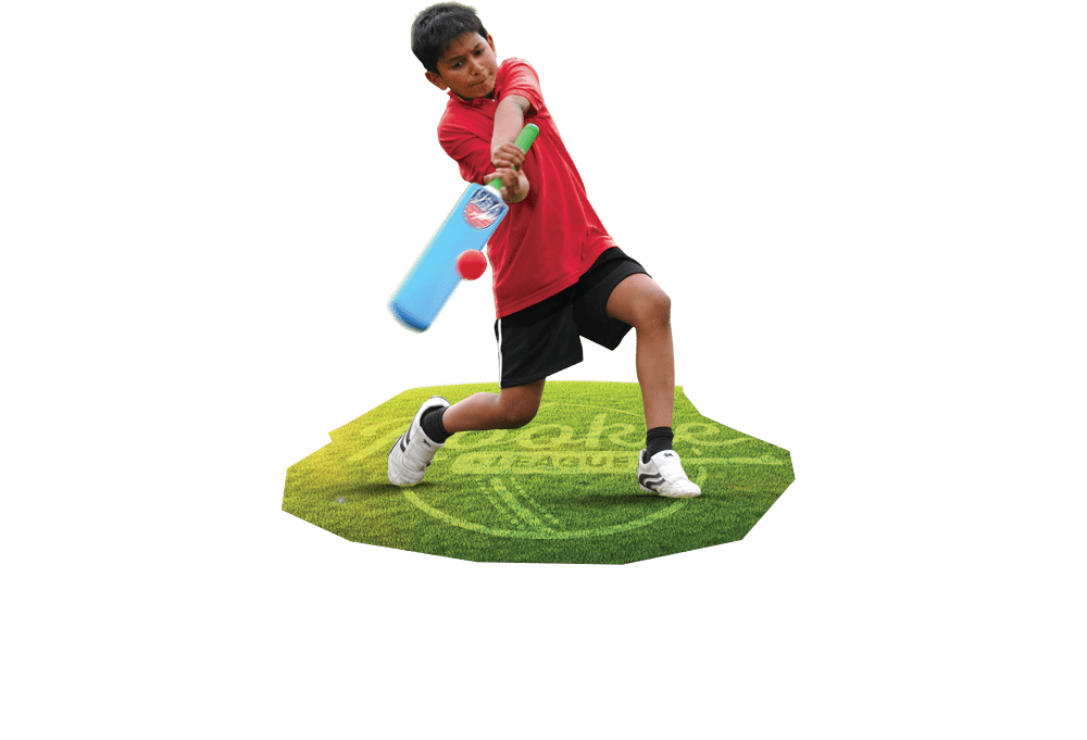 young cricket player