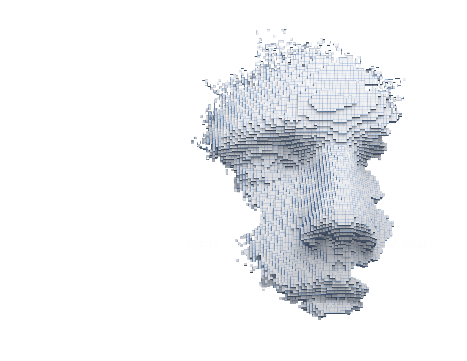 face graphic