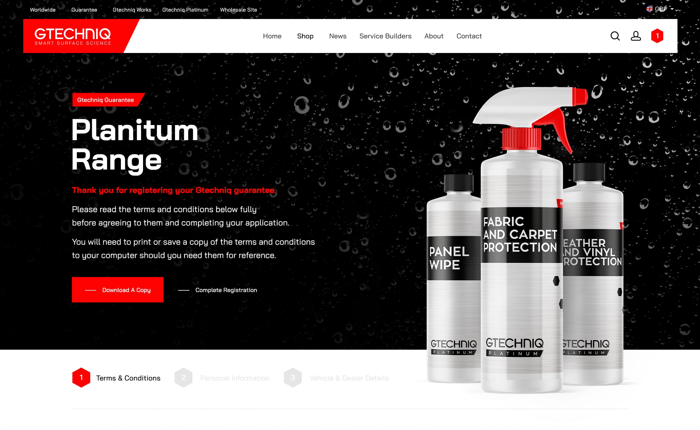 platinum-min website design homepage preview