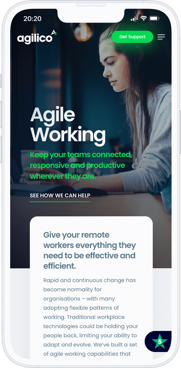 agilico-3-min agilico mobile website visual