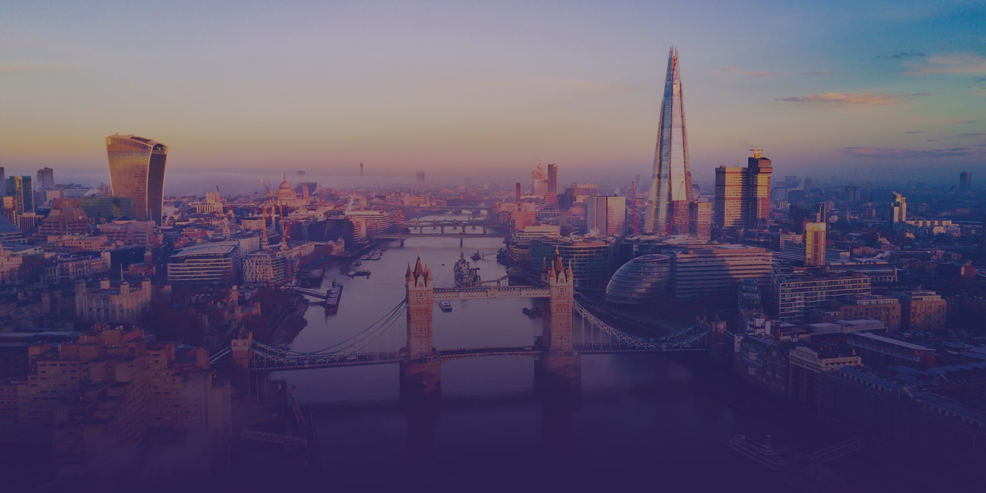 AGM Portal & ESG Brochure Design for Horizon Capital